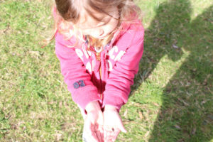 Bright Starts Day Nursery